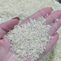 برنج چمپه فلارد