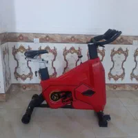 دوچرخه ثابت فرش وی مدلFW8000