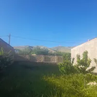 ۲۵۰ متر چهاردیواری سند دار با جواز ساخت دو بر|فروش زمین و ملک کلنگی|لوشان, |دیوار