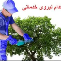 استخدام نیروی خدماتی و باغبانی (آقا)