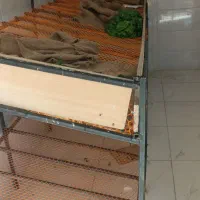 فروش میزهای میوه فروشی|فروشگاه و مغازه|ازنا, |دیوار