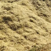 کاه لوبیا درجه یک|لوازم جانبی حیوانات|کبودرآهنگ, |دیوار