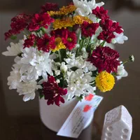 گل خاص برای مناسبت های خاص|گل و گیاه طبیعی|اصفهان, پروین|دیوار