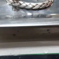 دستبند نقره تایلندی|جواهرات|پاکدشت, پاکدشت (مامازند)|دیوار