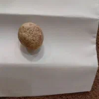 سنگ اسیاب|جواهرات|سامان, |دیوار