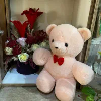 پولیشی ها عروسک خرسک باکس گل|کلکسیون و سرگرمی|ری, سیزده آبان|دیوار