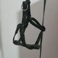 قلاده بدنی گربه