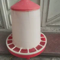 جای دان مرغ و خروس