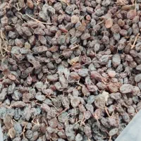 کشمش آفتابی ارگانیک|خوردنی و آشامیدنی|صائین قلعه, |دیوار