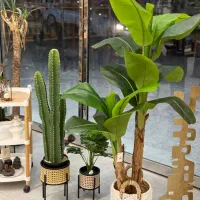 انواع گیاه و گل مصنوعی (اقساط) آکوهوم|گل مصنوعی|کیش, |دیوار