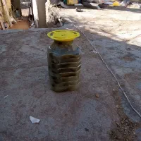 خیار شور اندازه شوری