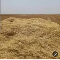 خریدوفروش کاه|لوازم جانبی حیوانات|زنجان, |دیوار