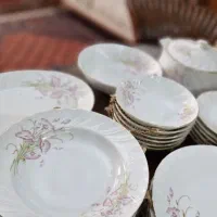 سرویس چینی قدیمی آک با جعبه فابریک|ظروف سرو و پذیرایی|اردبیل, |دیوار