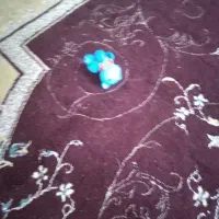 بره