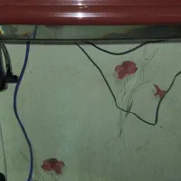 lکواریوم|ماهی|مشهد, حجاب (شهرک غرب)|دیوار