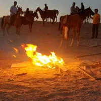 ورزش وتفریح وشادی