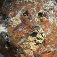 سنگهای قیمتی پاییزه وقرمز|جواهرات|قزوین, |دیوار