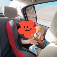 فروش فوری|اسباب و اثاث بچه|بروجن, |دیوار