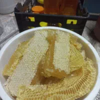 خوراکی سالم و ارگانیک|خوردنی و آشامیدنی|گلبهار, شهر جدید گلبهار|دیوار