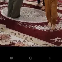 یک جفت فرش ۱۲ متری سالم و تمیزو در حد|فرش|قم, هفت تیر|دیوار