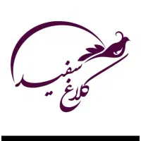 کمک حسابدار خانم