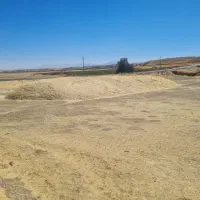 کاه گندم دیم