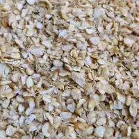سیر خشک|عمده‌فروشی|گناباد, |دیوار