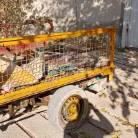 سلام ارزادب