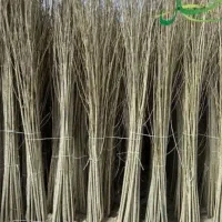 درخت