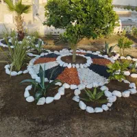 باغبانی ، درختکاری و طراحی فضای سبز|خدمات باغبانی و درختکاری|فومن, |دیوار