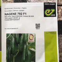 بذر خیار گلخانه ای ناگین