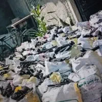 زغال کبابی عمده