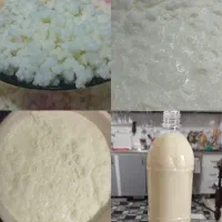 قارچ کفیر
