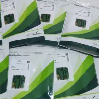 بذر خیار 2n دو ان اورجینال