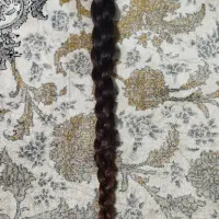 فروش مو|آرایشی، بهداشتی، درمانی|بیرجند, |دیوار