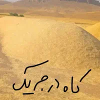 کاه گندم