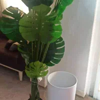درختچه مصنوعی|گل مصنوعی|بندر ماهشهر, |دیوار