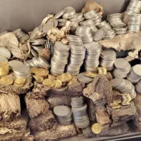 شریک و سرمایه گذار