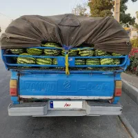 نیسان وانت|خودرو سواری و وانت|محمدشهر, همایون ویلا|دیوار