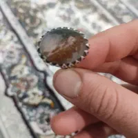 شجر بهاری پاییزی