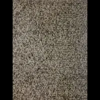 پاازپرزبلند