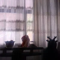 پرده تورگیپور آستردار درحدنو شیک|پرده، رانر، رومیزی|اصفهان, ملک‌شهر|دیوار