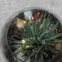 تراریوم طبیعی