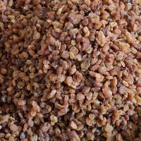 کمشمش خوراکی درجه۱|خوردنی و آشامیدنی|نیشابور, دربقاضی|دیوار