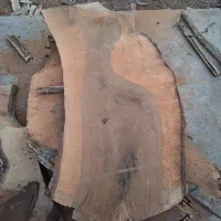 اسلب گردو