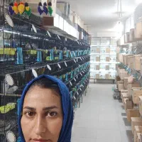 کوتوله ملنگو راهب عروس گرینچیک قناری وام کاسکو