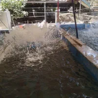 آبرسانی تانکر نیسان ۲۵۰۰ لیتری|خدمات حمل و نقل|تهران, دولتخواه جنوبی|دیوار