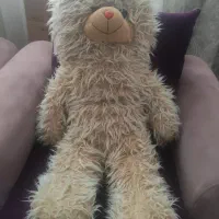 خرس یک متری
