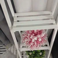 باکس گل|کتابخانه، شلف، قفسه‌های دیواری|قم, قلعه کامکار|دیوار