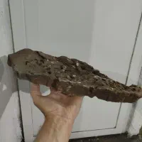 صخره آکواریوم
